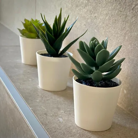 Apartment Neu, Zentral, Sonnig, Garage Inklusive